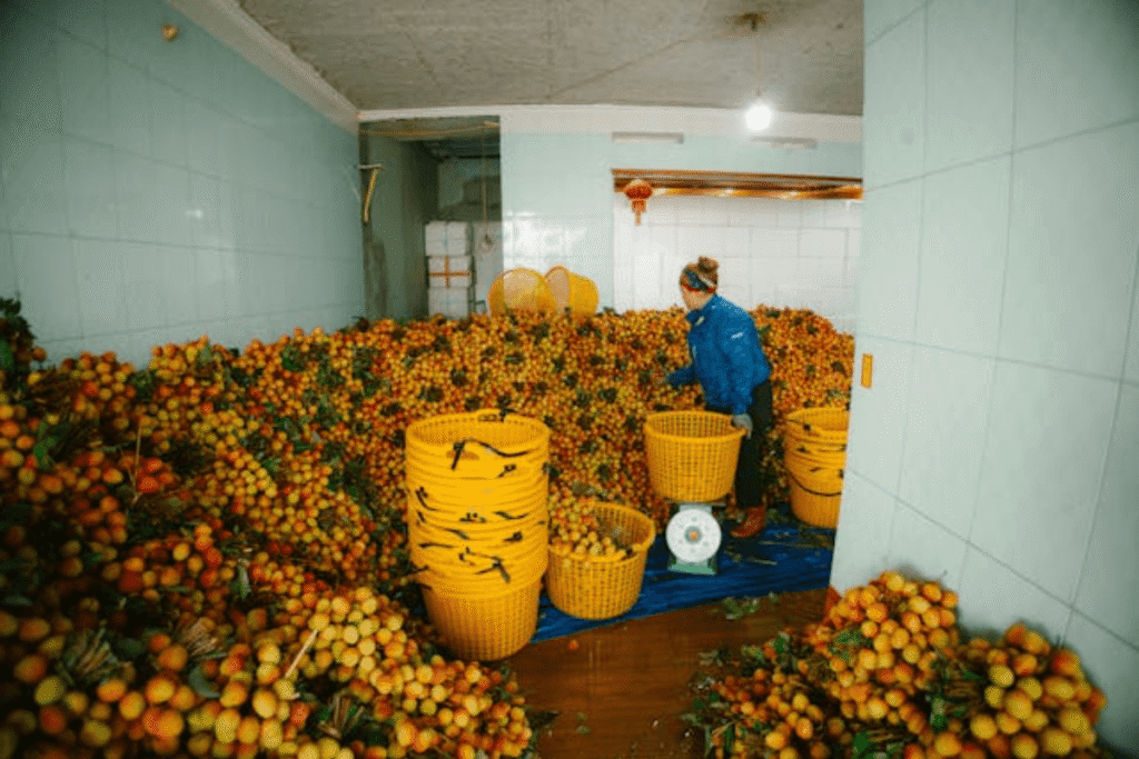 Jobs in food and nutrition management